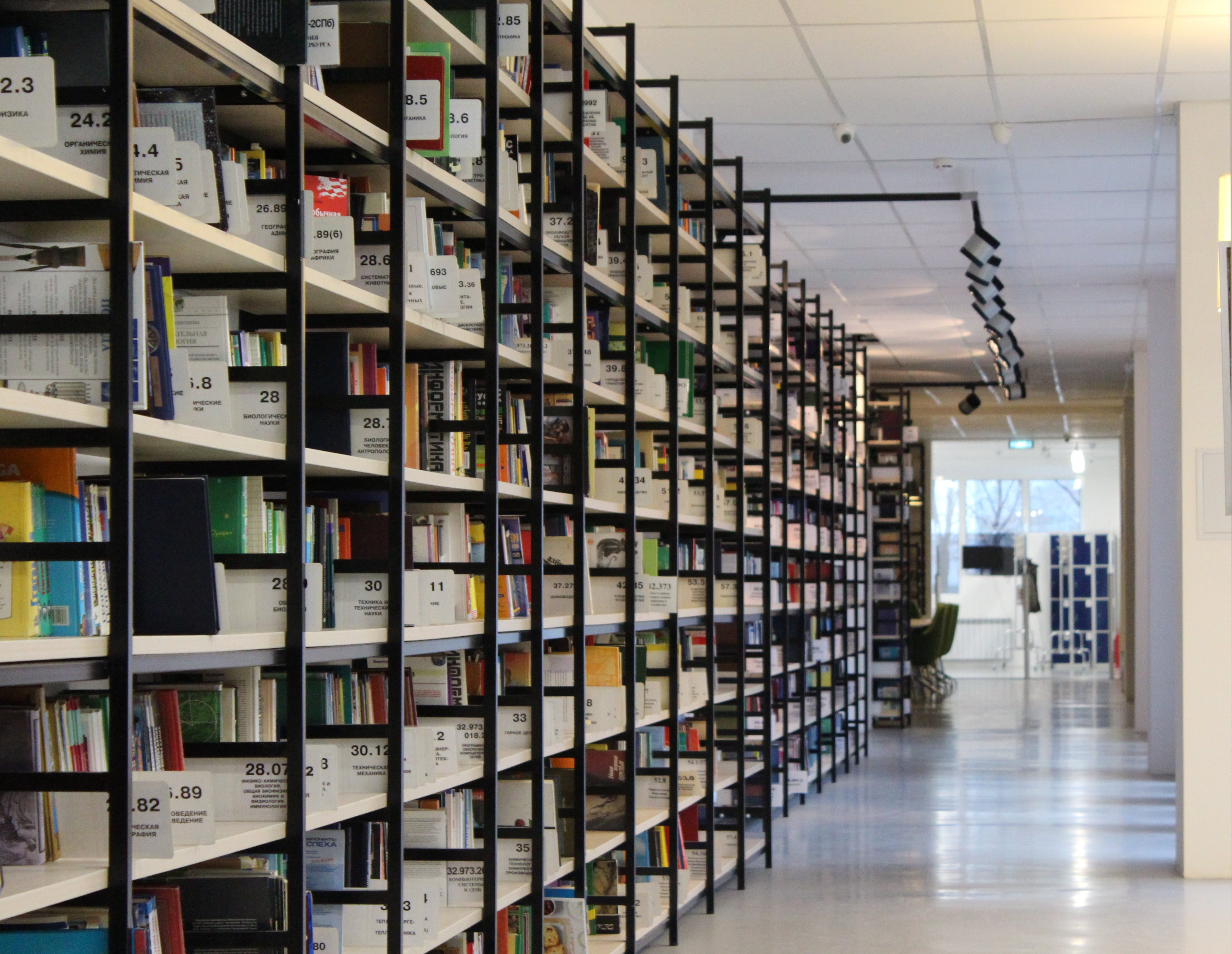 A library's book hallway.